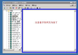 IIS 6 網(wǎng)站無(wú)法預(yù)覽的排查與解決方案——安全狗論壇技術(shù)交流